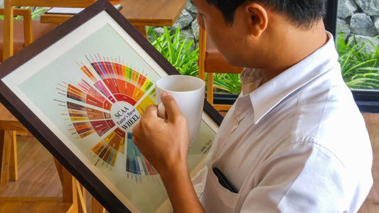 Exploring the Coffee Flavor Wheel: A Journey Through the Tastes and Aromas of Coffee - Coffee Tasting Room